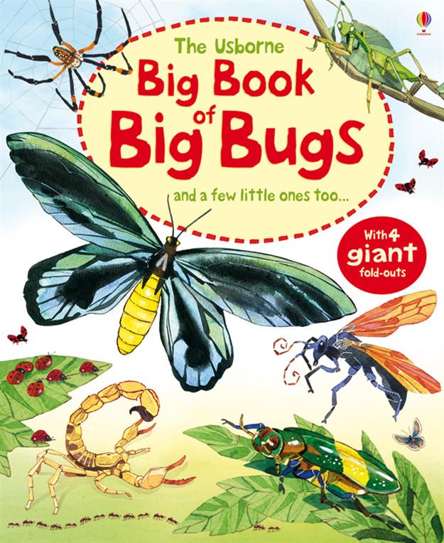 Big Book of Big Bugs (IR)