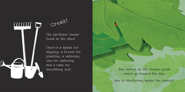 Secrets of the Vegetable Garden - Shine-a-Light