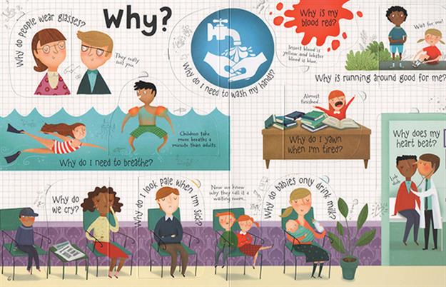 Lift-the-Flap Questions and Answers About Your Body (IR)