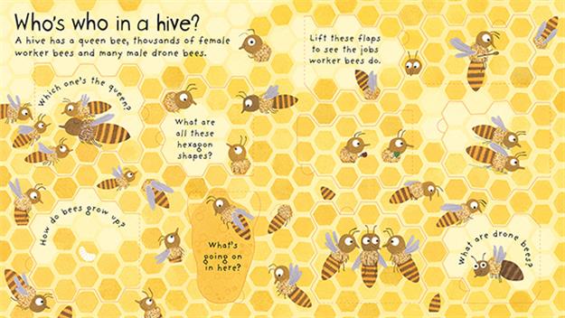 Lift-the-Flap First Questions and Answers: Why Do We Need Bees?