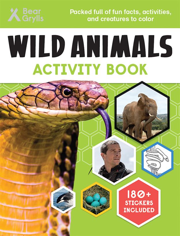 Wild Animals Activity Book (CV)