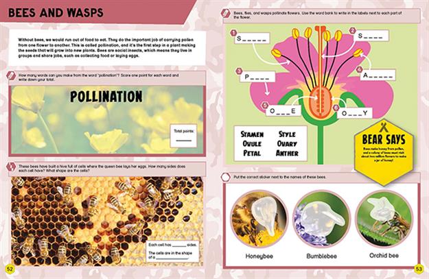 Wild Animals Activity Book (CV)