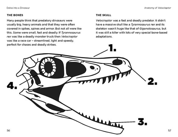So You Think You Know About… Velociraptor? LIBRARY BINDING