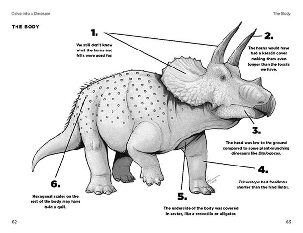 So You Think You Know About… Triceratops? LIBRARY BINDING