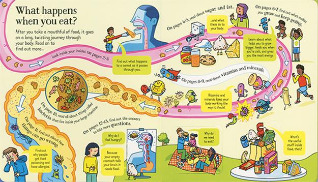 Look Inside What Happens When You Eat (IR)