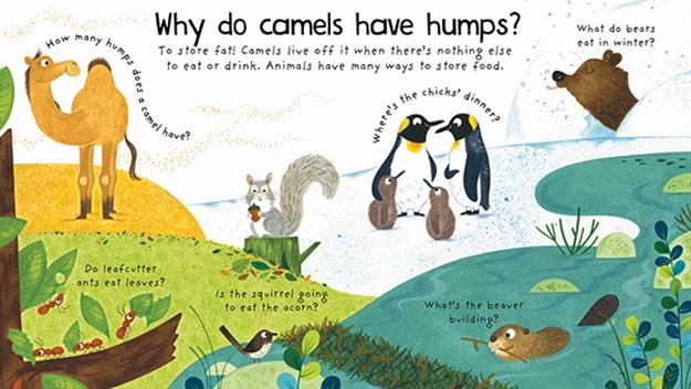 Lift-the-Flap First Questions & Answers: Why Do Tigers Have Stripes?
