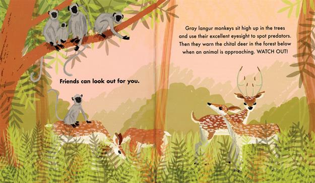 All Kinds of Animal Friends