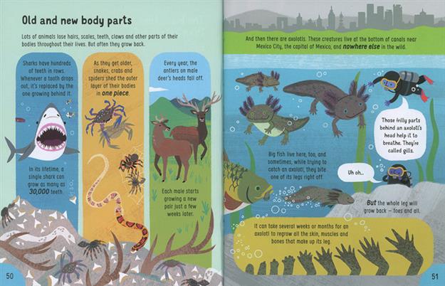 Lots of Things to Know About Animals (IR)