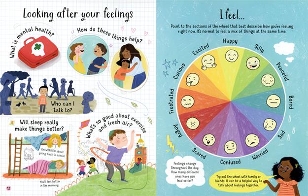 Lift-the-Flap Questions and Answers About Feelings (IR)