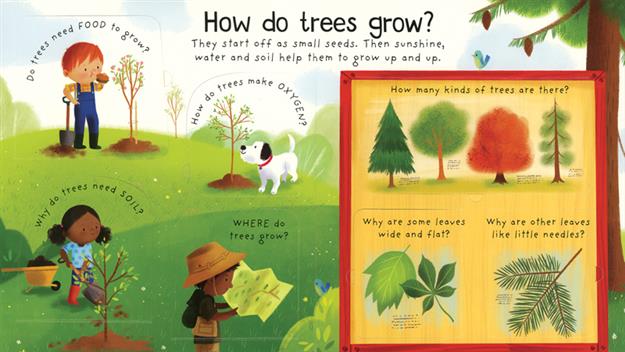 Lift-the-Flap First Questions and Answers: Why Do We Need Trees?