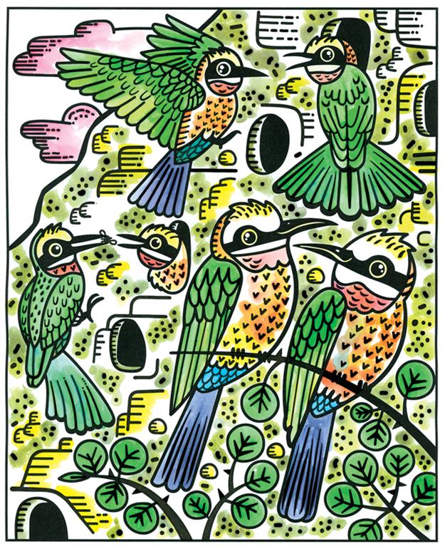 Birds Magic Painting Book