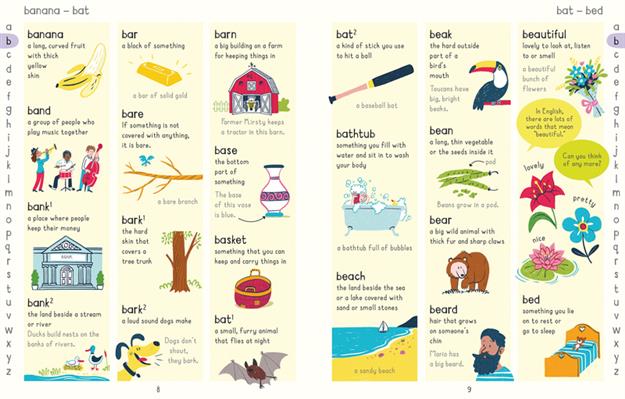 PICTURE DICTIONARY