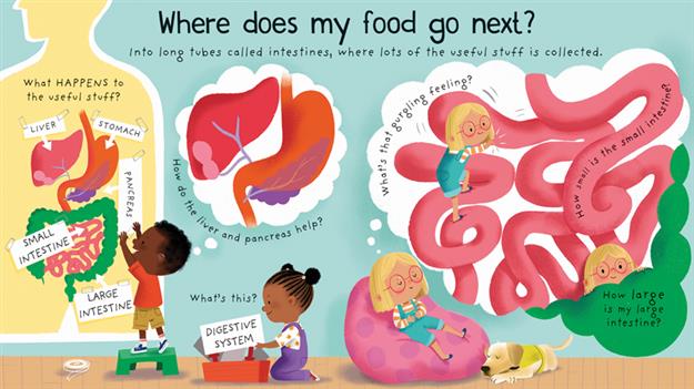Lift-the-Flap First Questions and Answers: Where Does My Food Go?