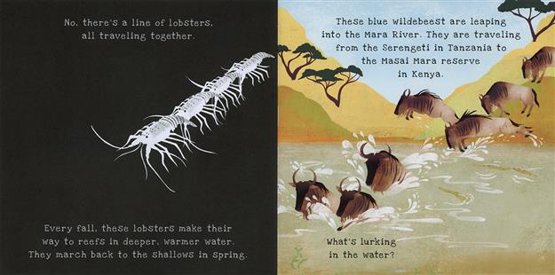 Animal Journeys Shine-a-Light