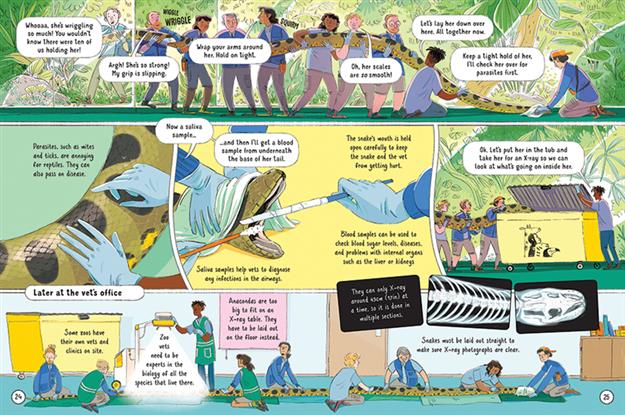 24 Hours in a Zoo (IR) Graphic Novel