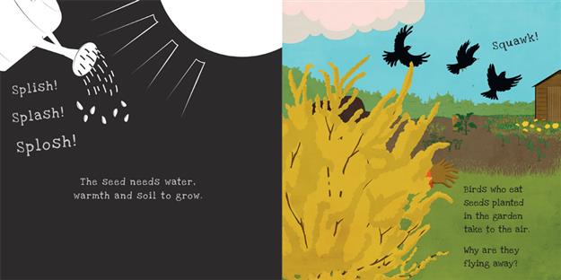 Secrets of the Vegetable Garden - Shine-a-Light