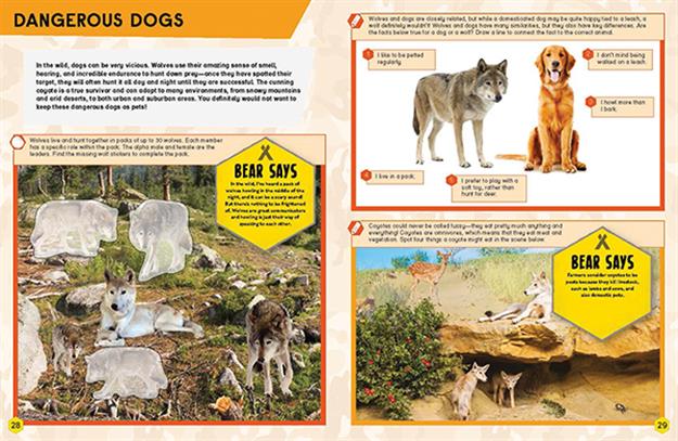 Wild Animals Activity Book (CV)